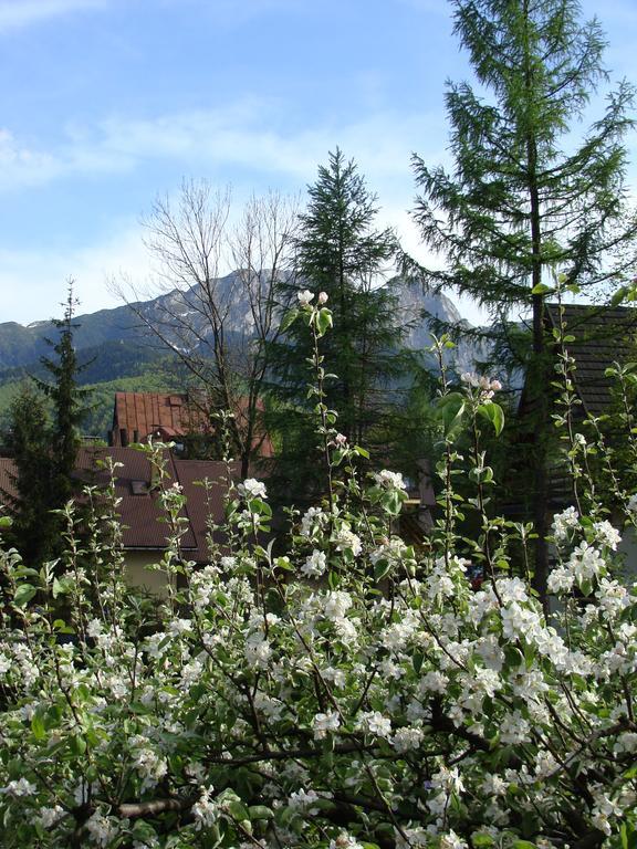 Holiday Home Patchwork Barn Zakopane Extérieur photo